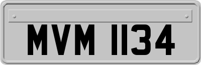 MVM1134