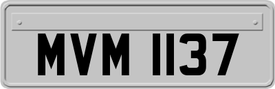 MVM1137