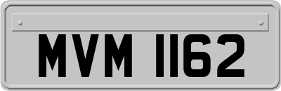 MVM1162