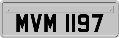 MVM1197