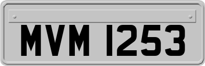 MVM1253