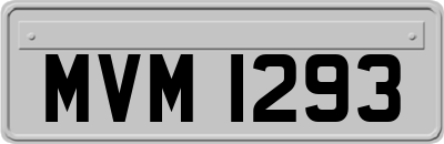 MVM1293