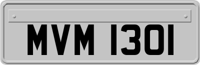 MVM1301