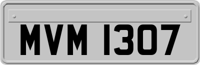 MVM1307