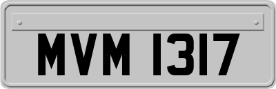 MVM1317