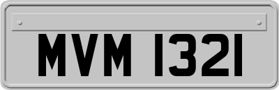 MVM1321