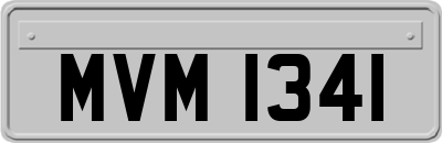 MVM1341