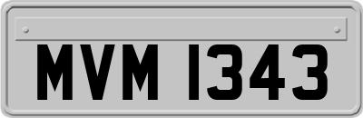 MVM1343