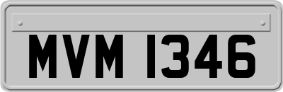 MVM1346