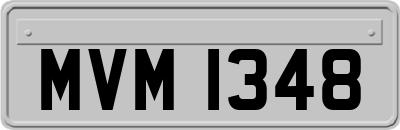 MVM1348