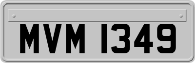 MVM1349