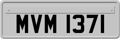 MVM1371