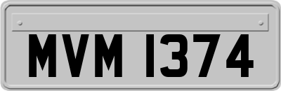 MVM1374