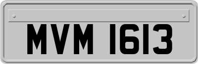 MVM1613