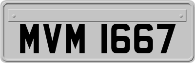 MVM1667