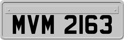 MVM2163