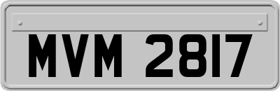 MVM2817