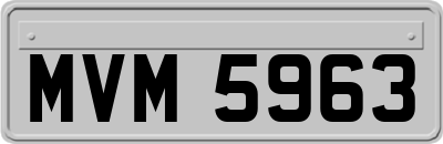 MVM5963