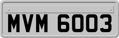 MVM6003