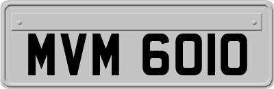 MVM6010