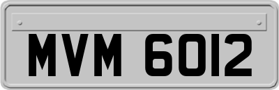 MVM6012