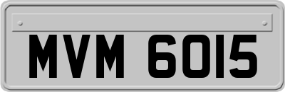 MVM6015