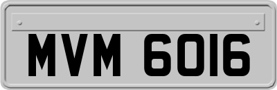 MVM6016