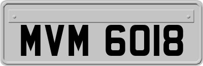 MVM6018