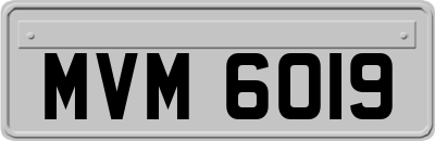 MVM6019