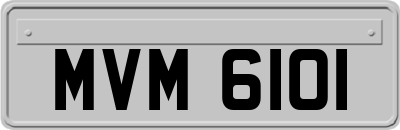 MVM6101