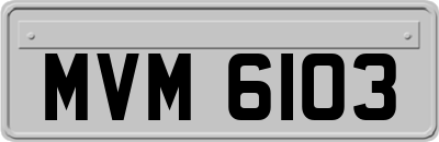 MVM6103