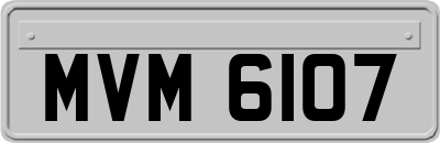 MVM6107