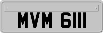 MVM6111