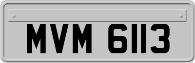 MVM6113