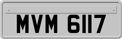 MVM6117