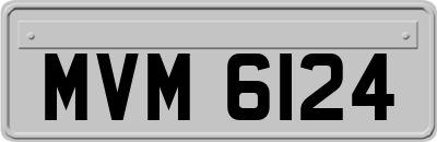 MVM6124