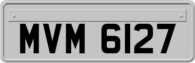 MVM6127