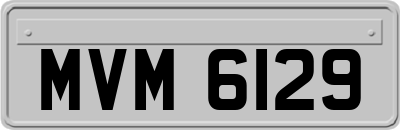 MVM6129