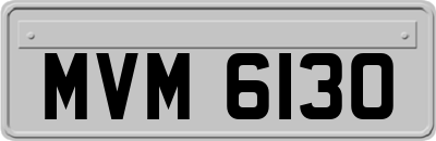 MVM6130