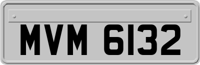 MVM6132