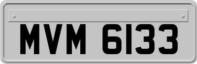 MVM6133