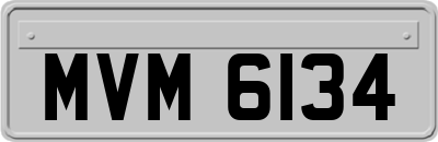 MVM6134