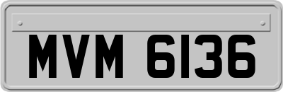 MVM6136