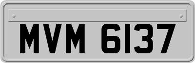 MVM6137