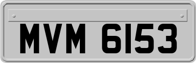 MVM6153