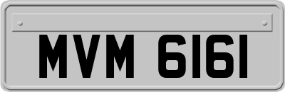 MVM6161