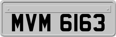 MVM6163