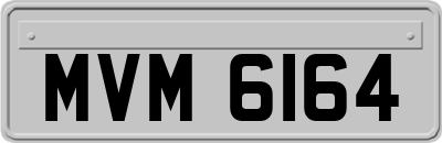 MVM6164