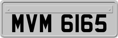 MVM6165