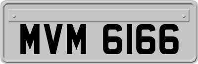 MVM6166